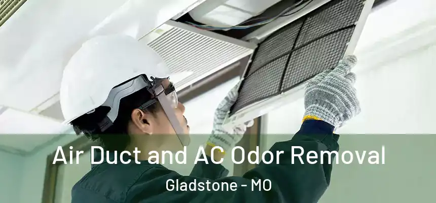  Air Duct and AC Odor Removal Gladstone - MO