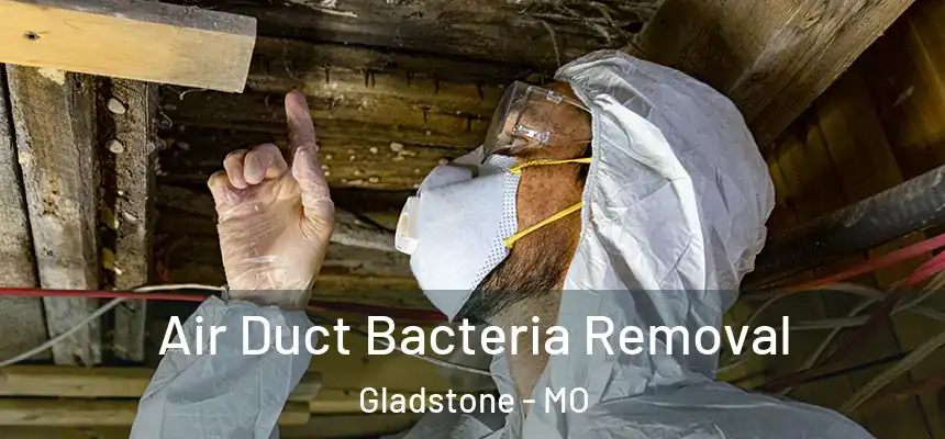 Air Duct Bacteria Removal Gladstone - MO