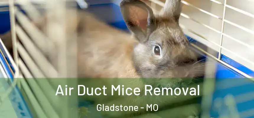 Air Duct Mice Removal Gladstone - MO