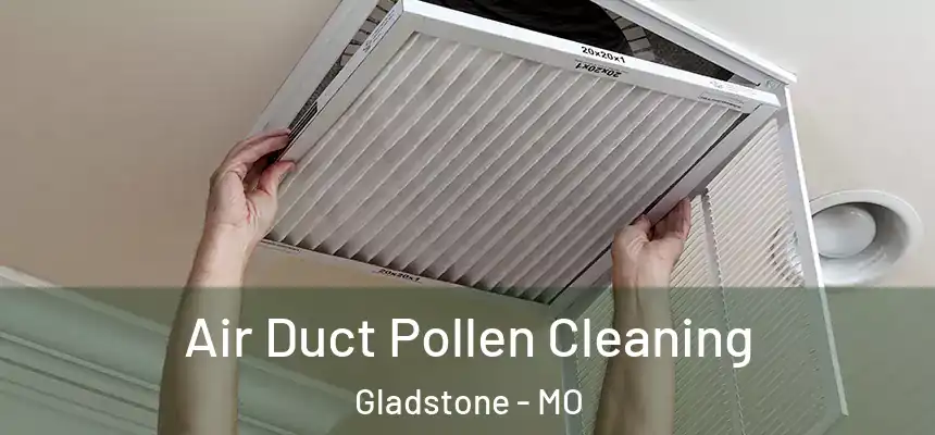 Air Duct Pollen Cleaning Gladstone - MO