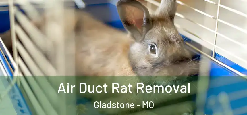 Air Duct Rat Removal Gladstone - MO