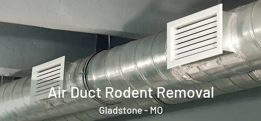  Air Duct Rodent Removal Gladstone - MO