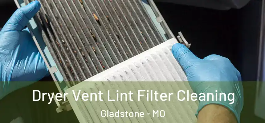  Dryer Vent Lint Filter Cleaning Gladstone - MO