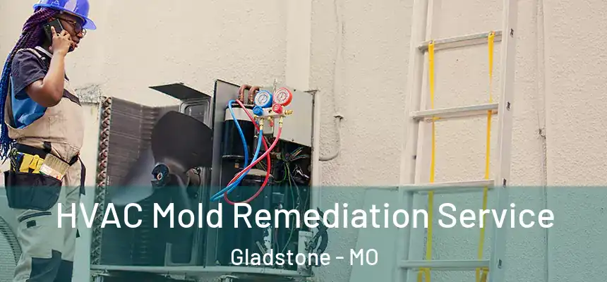 HVAC Mold Remediation Service Gladstone - MO