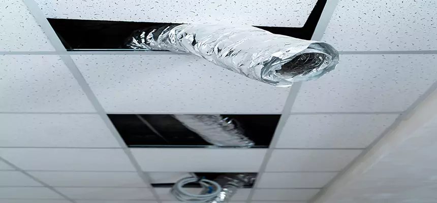 Our Air Duct Pet Hair Removal Services in Gladstone, MO