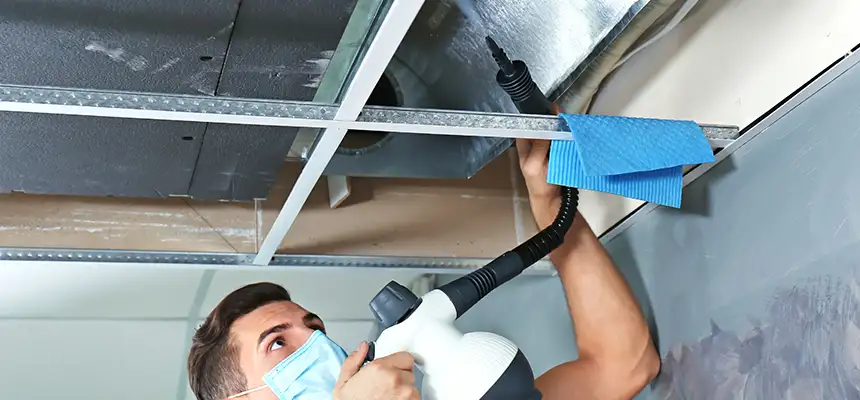 Our Air Duct Rodent Removal Services in Gladstone, MO