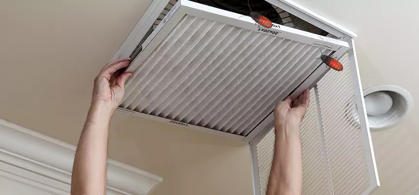 Our Insect Removal from Air Ducts Services in Gladstone, MO