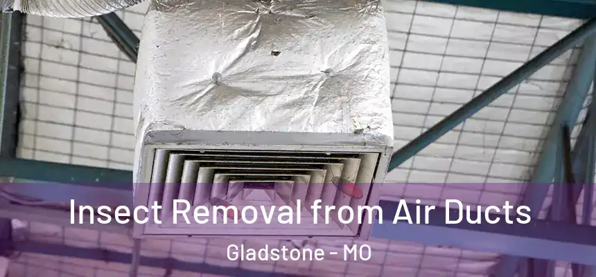 Insect Removal from Air Ducts Gladstone - MO
