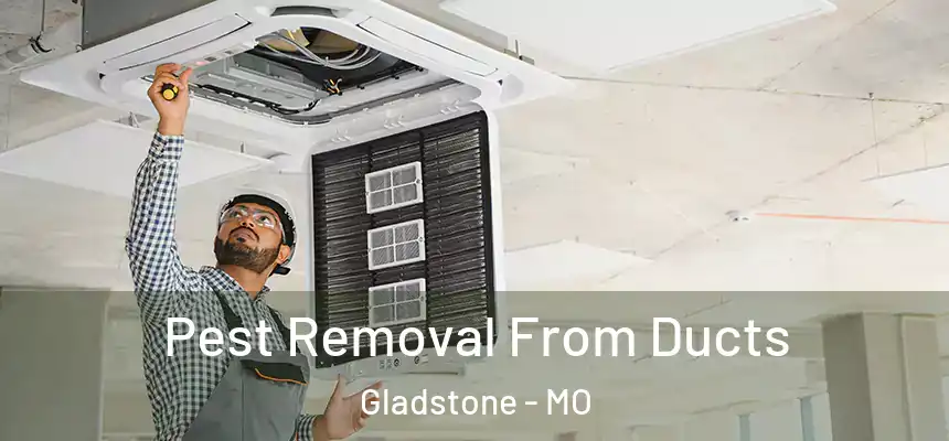 Pest Removal From Ducts Gladstone - MO
