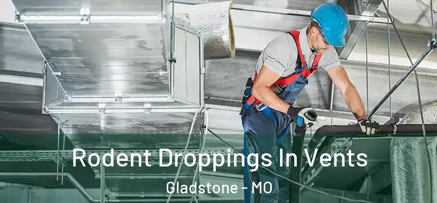  Rodent Droppings In Vents Gladstone - MO
