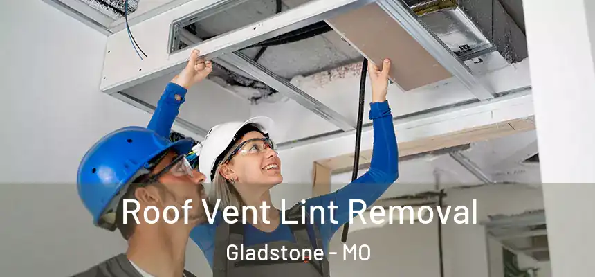  Roof Vent Lint Removal Gladstone - MO