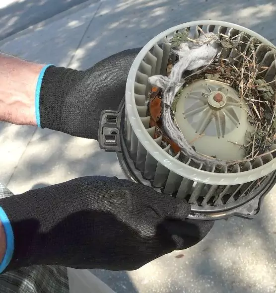 About Air Duct Mice Removal in Gladstone, MO