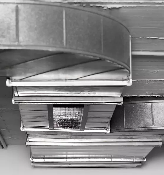 Professional Air Duct Pest Removal in Gladstone, MO