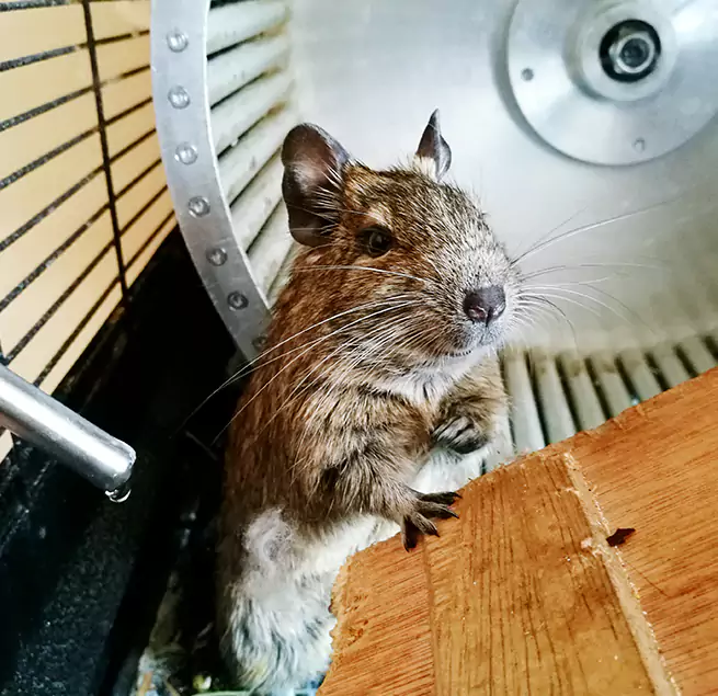 Why Homeowners & Businesses Trust Us Gladstone, MO